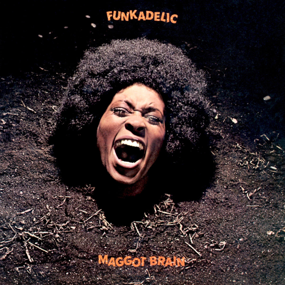 Maggot Brain — Funkadelic (tapa)