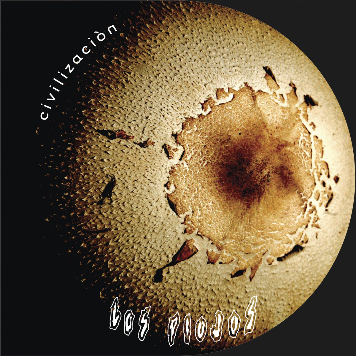 Civilizacion — Los Piojos (tapa)